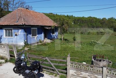 4700 mp teren intravilan - Rascruci - EXCLUSIVITATE - 6