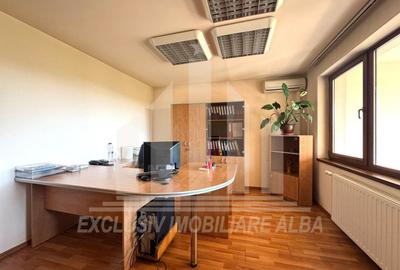Spatiu de birouri | P + 2E | 254 mp | 10 camere | Parcare | Cetate - 4