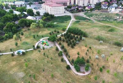 Apartament 1 camera Valea Lupului - 14