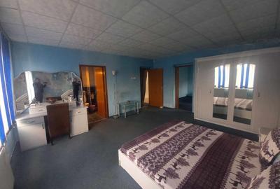 Casa de vanzare la 5 min de Centru cu trei nivele (D+P+1) si teren de 4300mp - 36