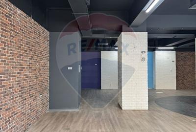 SPATIU COMERCIAL PREMIUM - CALEA MOSILOR - 3