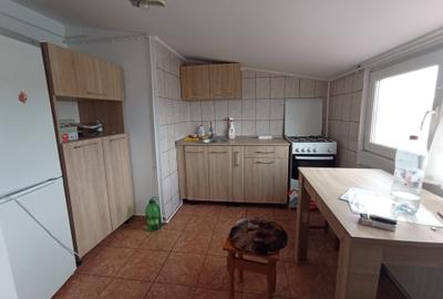 Apartament 2 camere, Nicolina 2, mobilat, utilat, gata de mutare - 8