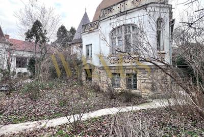 Conac Istoric de Vânzare Cluj ,Central – Locuință Deosebită cu Teren Generos - 11