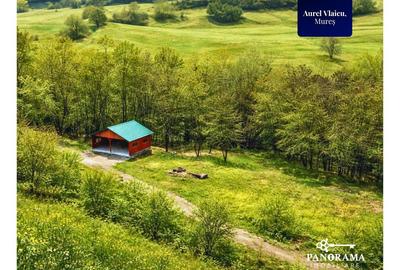 Teren 5.144 mp în Aurel Vlaicu, Sighișoara –excelent pt investiții - 6
