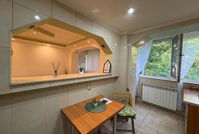 Iancului, 2 camere, 2 bai, 3 min metrou - 6