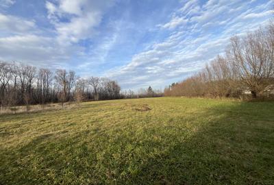 TEREN INTRAVILAN GENEROS | 72 ARI | GALANESTI - 1