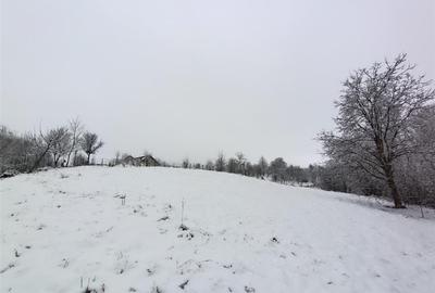 Teren Construcții intravilan de 2000 mp, în Mitocu Dragomirnei