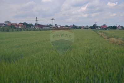 Teren intravilan 6,600mp Dumbraveni / Strada Principala spre Veresti - 7