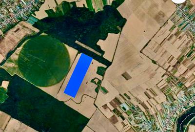 Vanzare teren intravilan Copaceni Ilfov - 2