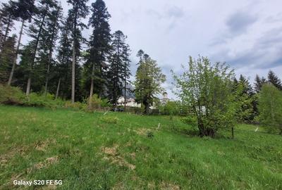 Teren intravilan de vanzare in Busteni - 3