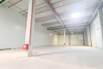 Hala industriala de inchiriat , Timisoara exterior NORD - 12