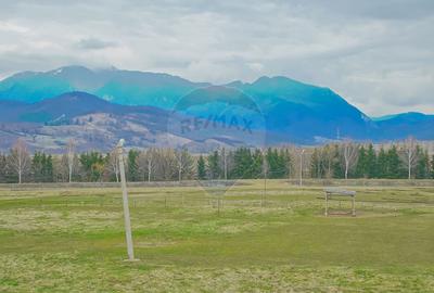 Complex Turistic Panicel, DN73A - 60