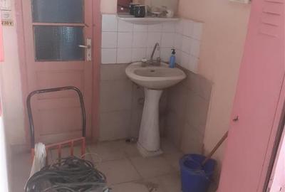 Casa+Spatiu Comercial ,Steren 534mp, zona Progresu - 10