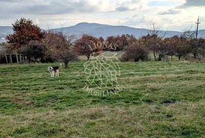 Teren Construcții intravilan de 800 mp, în Nord