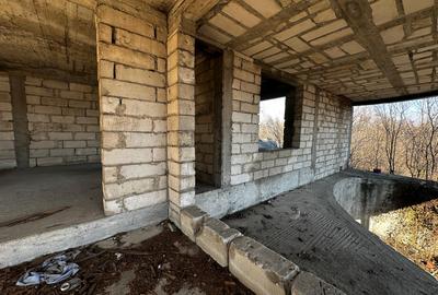 Vanzare Casa individuala D+P+E la ROSU cu 517 mp utili Teren 1100 mp d=19 Alba - 5