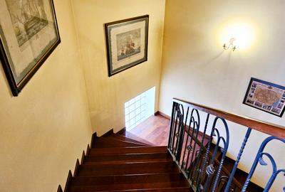 Vila individuala 7 camere | Zona Iancu Nicolae - Serban Cantacuzino | Teren 3250 - 13