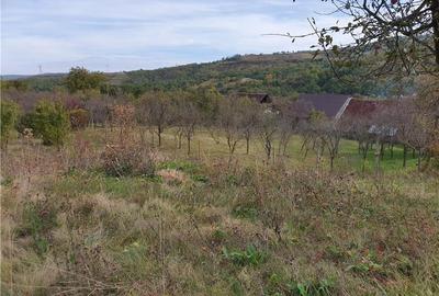 Casă Tradițională Săsească ?n loc.Aciliu cu 2974mp tere - 25