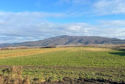 Teren intravilan, 3784 mp, de construit - 1