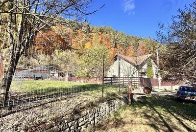 Teren intravilan cu PUZ 4000  mp -Sacele  - Bradet - 1