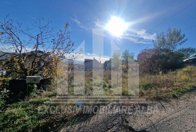 Teren Intravilan | 500 mp | 14 ml deschidere | Cetate - zona Schit - 4
