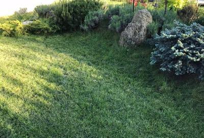 Luxury Residence with Pool and 1000 sqm Garden | Iancu Nicolae - 39