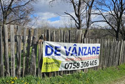 Teren intravilan, zona Leorda - 1