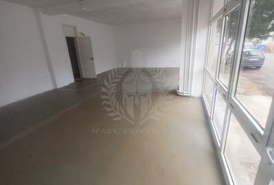 SPATIU COMERCIAL//ZONA DE VEST//PIATA COCOS - 4