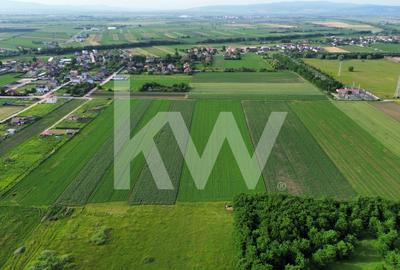 Teren intravilan 17.240 mp Stupini, str. Baciului-Luncii - 9
