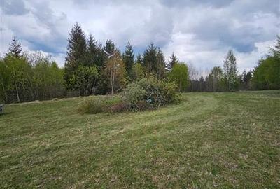 Teren Intravilan,Autorizatie de Construire,4483 mp, situat in Marisel! - 6