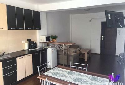 Apartament 2 camere vedere spre munte si balcon | Doamna Stanca - 3