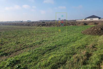 Teren agricol in intravilanul comunei Sacalaz. - 1