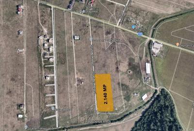 Teren Otopeni I Str 23 August I 2500 MP - 1