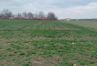 Afumati   Autostrada A0  Vanzare Teren extravilan 17500mp - 1