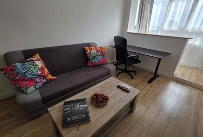 Inchiriere apartament Baba Novac - 8