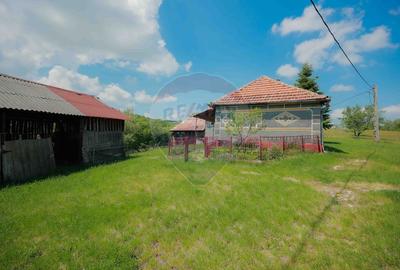 De vânzare casă cu teren și pădure 55706 mp - Șinteu, Valea Târnei - 10
