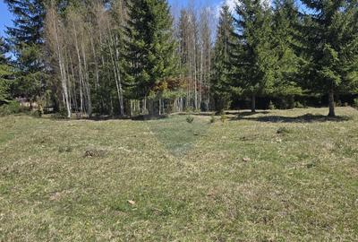 Teren 18,580mp Saru Dornei / DJ sat Neagra Sarului - 4