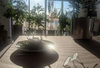 Penthouse de Lux cu 5 Camere | Expunere Sud-Vest și Panoramă spre Herăstrău - 5