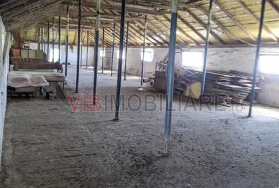 Ferma Zootehnică Mixtă – Cernateaz, Timiș | 9,5 ha | Hale Moderne, Casă 2019, va - 12