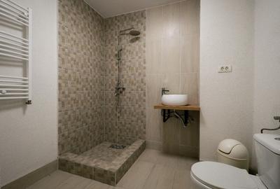 Demisol inalt 115 mp, 5 camere, 2 intrari  - Zona Parcul Carol / ideal investiti - 10