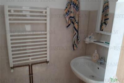 Vila cocheta de vanzare intr-o zona de basm langa Horezu in Bogdanesti (Tomsani) - 11
