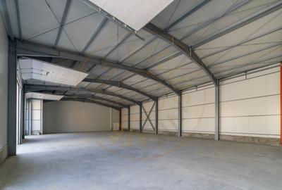 0% Comision-Inchiriere  2 hale noi zona Bascov la DN 7C - 6