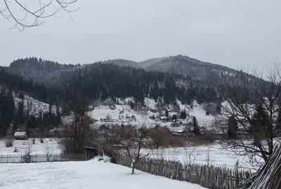 De vânzare teren intravilan – 600 mp, Neagra - 3