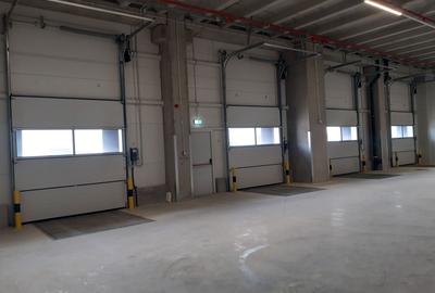 Depozite construite conform cerintelor / Warehouses build to suit - 4