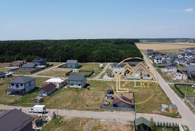 Dascalu-Vila 5 camere, 3 bai, 2 terase, 400mp teren - 2