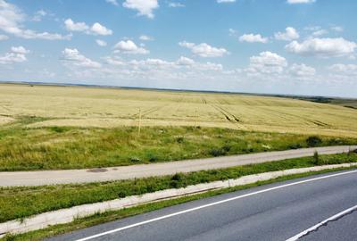 Teren la sosea Ortisoara - Autostrada A1 - 16