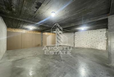 Spatiu depozitare, 203 mp, Dumbravita - 2