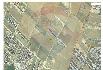 Teren agricol intravilan de 5000 mp, în Dobroești