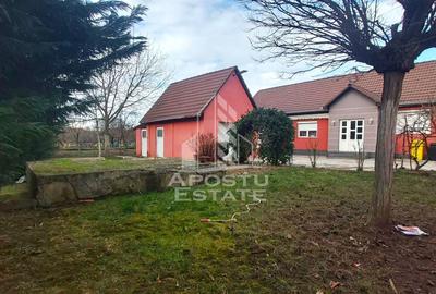 Casa construita pe un teren generos de 780 mp - 4