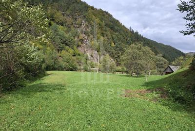 Teren Intravilan de Vânzare – 3622 mp – Râu Sadului - 1