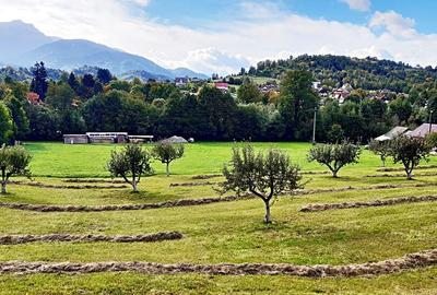 Teren superb de 16240mp, parcelabil, in Bran la intrare in Moeciu de Jos - 16